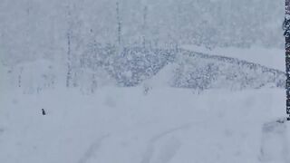 Snow in Kashmir