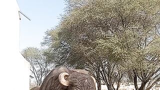 #vlog
