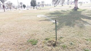 Park view in After noon