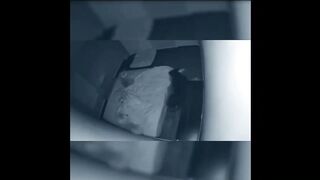funny cat video home cat funny video 2023