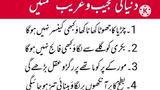 دنیا کے عجیب وغریب حکمتیں