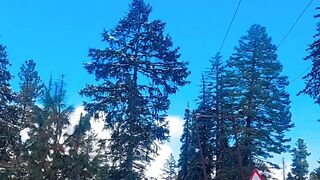Gulmarg Kashmir on January 2023