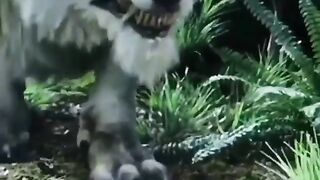 DANGEROUS WOLFS IN THE WORLD