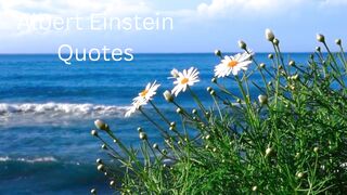Albert Einstein Quotes