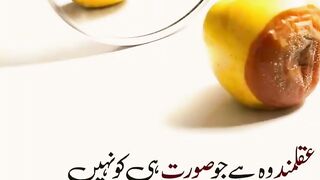 quotes||urdu quotes||motivational quotes||