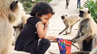 Monkeys attack baby girls