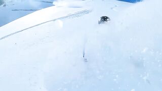 SwitzerLand Snow Video