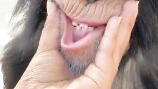 Funny monkey