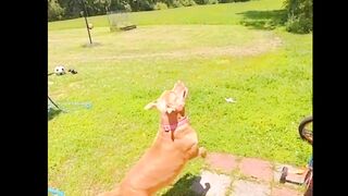 Funny dogs moment ????????