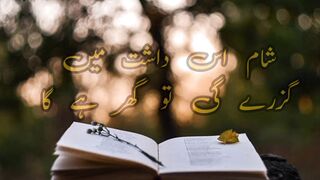 Soch kr Meri Muhabat Main | best sad poetry status |best urdu poetry | sad poetry status | sad poetry |sad lines