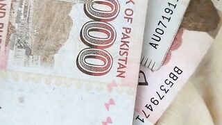 ???????? money ????????????????????????