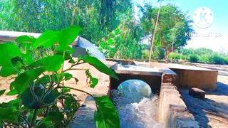 My 1st vlogs video