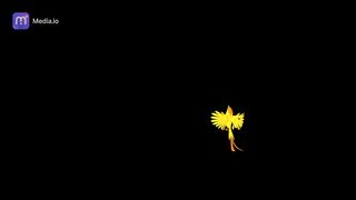Bird Exotic Cartoon