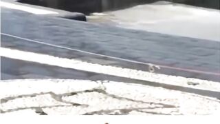 Amazing wave ????