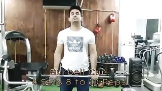 Top 5 Biscep Workouts For Beginners.