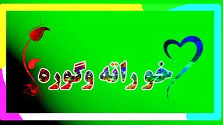 Pashto status