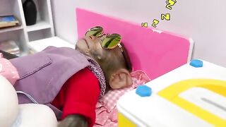 Bast funny video 2023