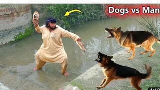 Dog Vs Man funny Video