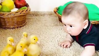 Funny baby with duckies