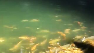Beauty of nature