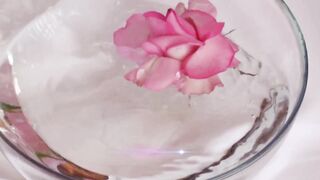 nice video Hi guys watch this beautiful video , #short