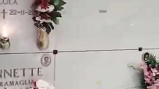nice video Hi guys watch this beautiful video , #short