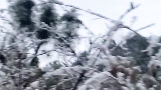 BEAUTIFUL NATURE