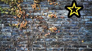 urdu poetry status ||urdu poetry status 2022????