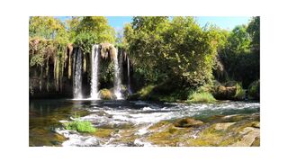 "Nature's Spring Bliss: Waterfall, River, Stream, and Trees in a Rainy Landscape"