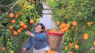 Fresh fruit