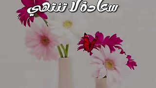 Love you