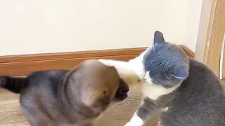 Let’s box