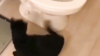 АХАХХАХАХА НЕ УМРИТЕ ОТ СМЕХА ????????????????????????
