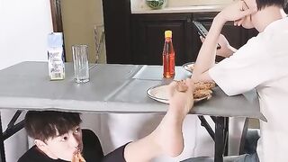 funny videos