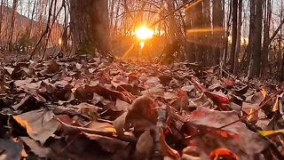 Song video