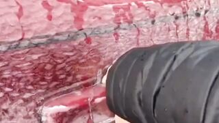 Amazing Ice Covering ???? ????