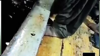 hunting grouper