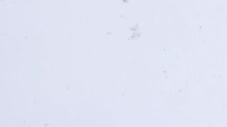 Snowfall in swat #Wniterseasonsnowfall #snowfall2023