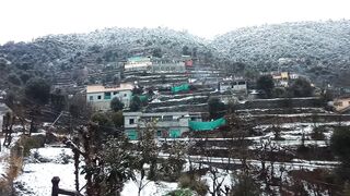 morning snowfall