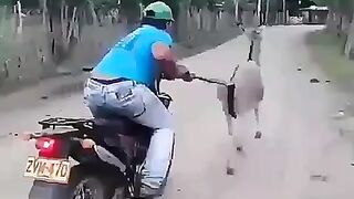 Funny video hahaha