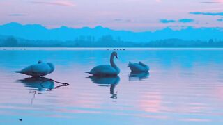 Beautiful Instrumental Music Mix.