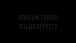 Cricket stadium crowd sound 1 hour