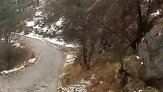 Snowfall in Kashmir