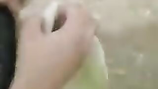 Aj subha ka nashta