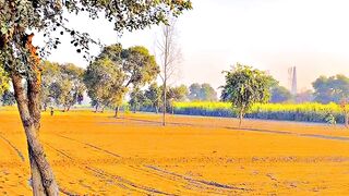 Village views
