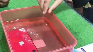Water Resistance Test for iPhone How Well Does it Stand Up to Submersion