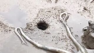 What Is  This Seen