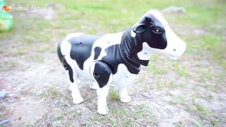Funny animals around us - what animal is this? cow, dog, cat, horse, chicken