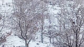 Snowfall in pak