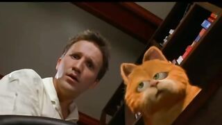 Funny video in cat chance in mouse ????????????